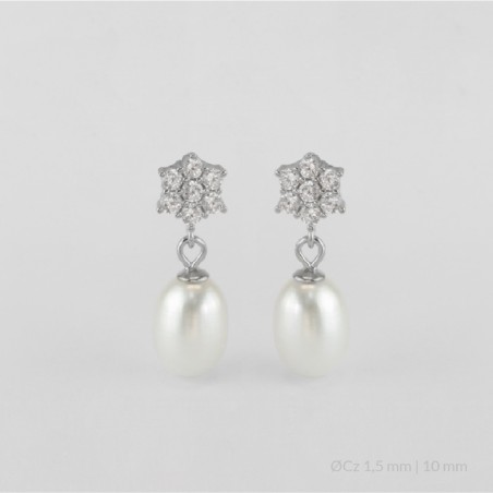 Silver Earrings