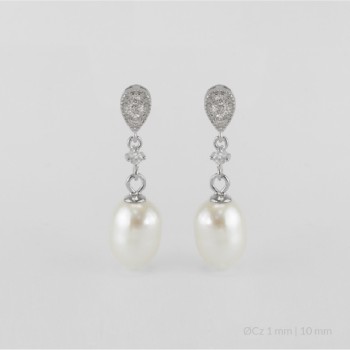 Boucles d'oreilles en Argent