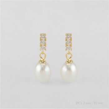 Pendientes de Plata de Ley