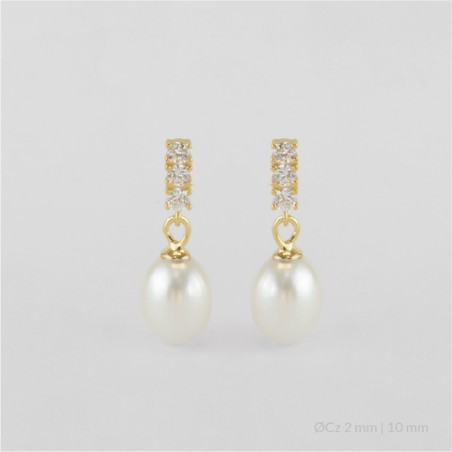 Pendientes de Plata de Ley