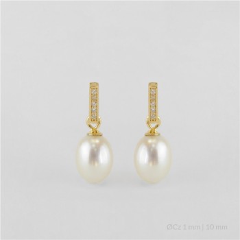 Pendientes de Plata de Ley