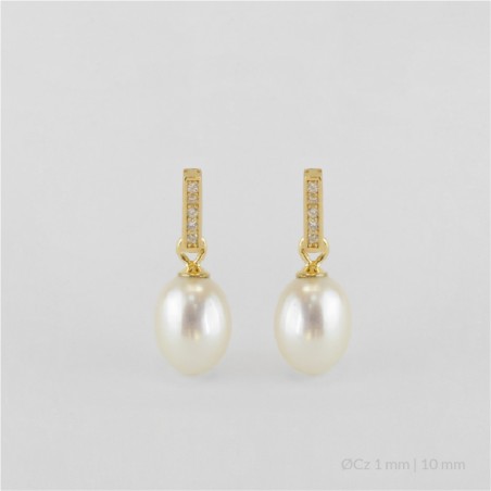 Pendientes de Plata de Ley