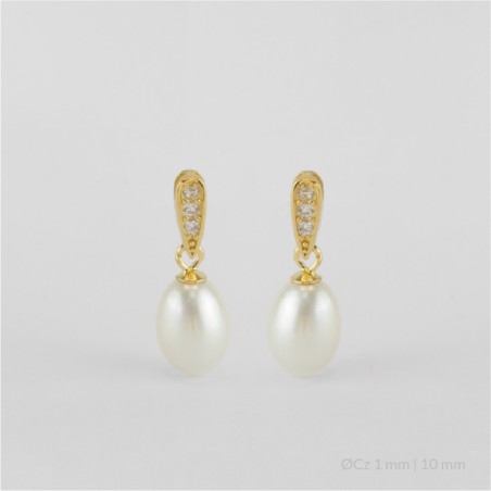 Pendientes de Plata de Ley