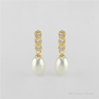 Boucles d'oreilles en Argent