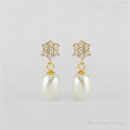 Pendientes de Plata de Ley