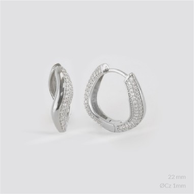 Silver Earrings