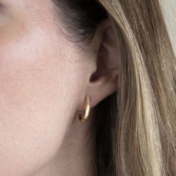 Sterling Silver Earrings 2