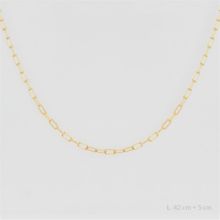 Corrente de Prata Esterlina | 42+5 cm de corrente de extensão