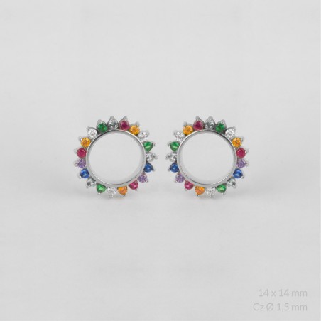 Sterling  Silver Earrings