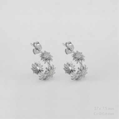 Boucles d'oreilles en Argent