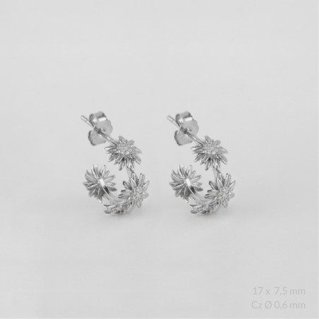 Sterling  Silver Earrings