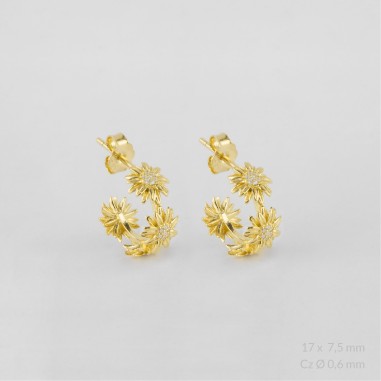 Sterling  Silver Earrings