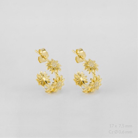 Sterling  Silver Earrings