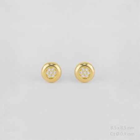 Sterling  Silver Earrings