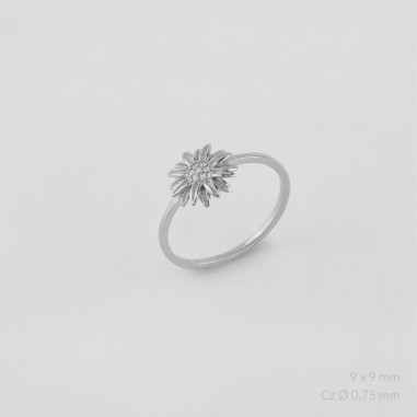 Sterling  Silver Ring