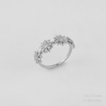 Anillo de Plata de Ley 