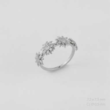 Anillo de Plata de Ley 