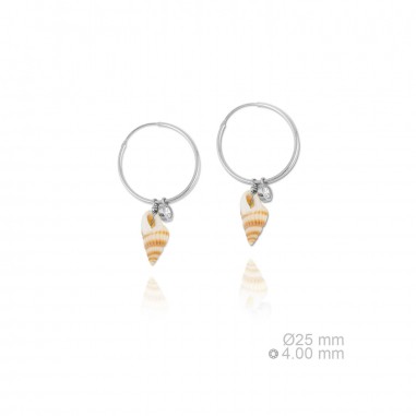 Boucles d'oreilles en Argent