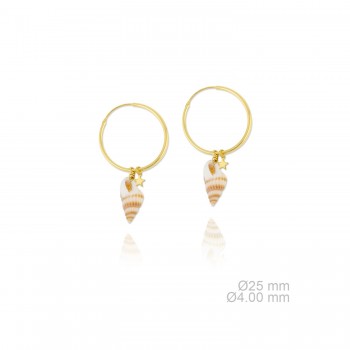 Boucles d'oreilles en Argent