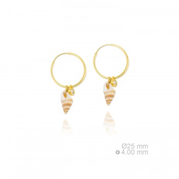 Boucles d'oreilles en Argent