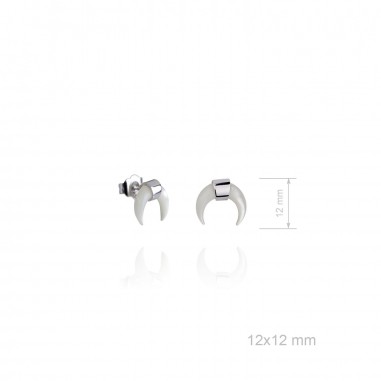 Silver Earrings with Mother of Pearls