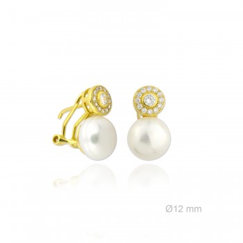 Boucles d'oreilles en Argent