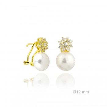 Boucles d'oreilles en Argent