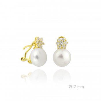 Boucles d'oreilles en Argent