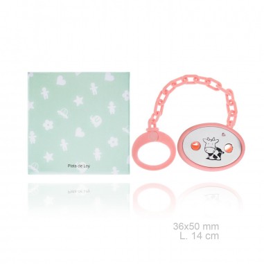 Silver Pacifier with resin clip